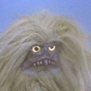 Meet your Posher, Leland